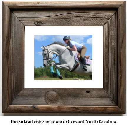 horse trail rides near me in Brevard, North Carolina